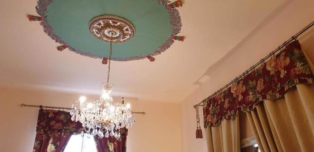 בלגרד Apartment 7 מראה חיצוני תמונה
